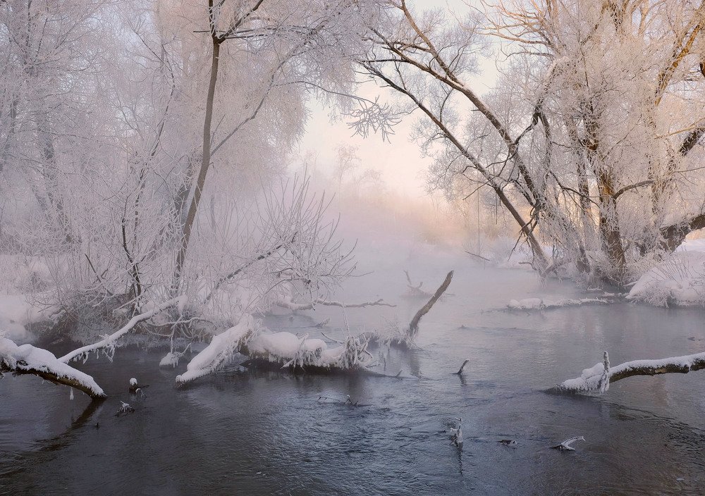 Рассвет  в тумане