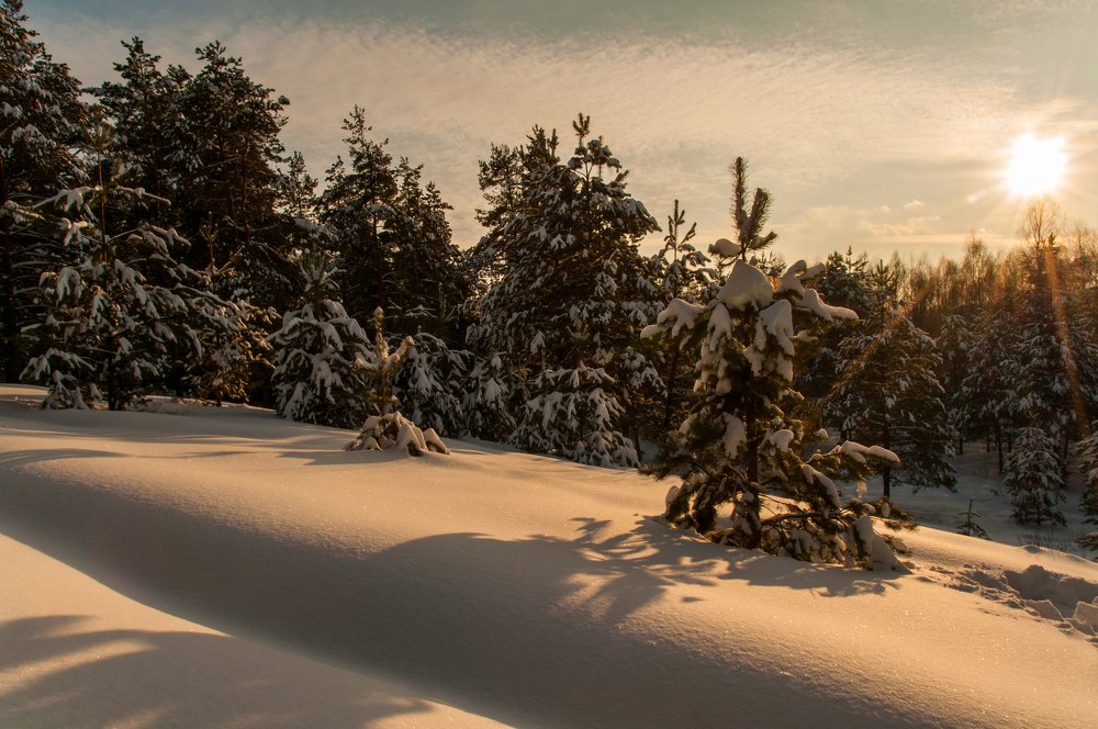 Photograph by Андрей Папанов