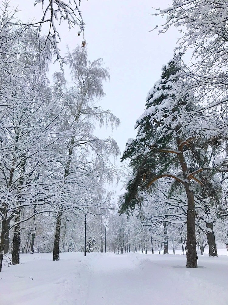 Photograph by Елена Смирнова