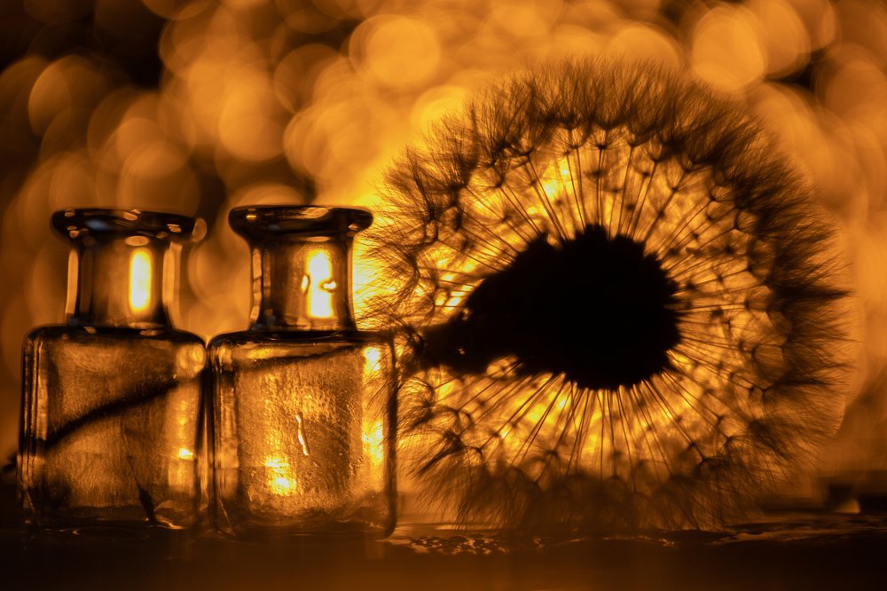 Photograph by Сергей Романченко