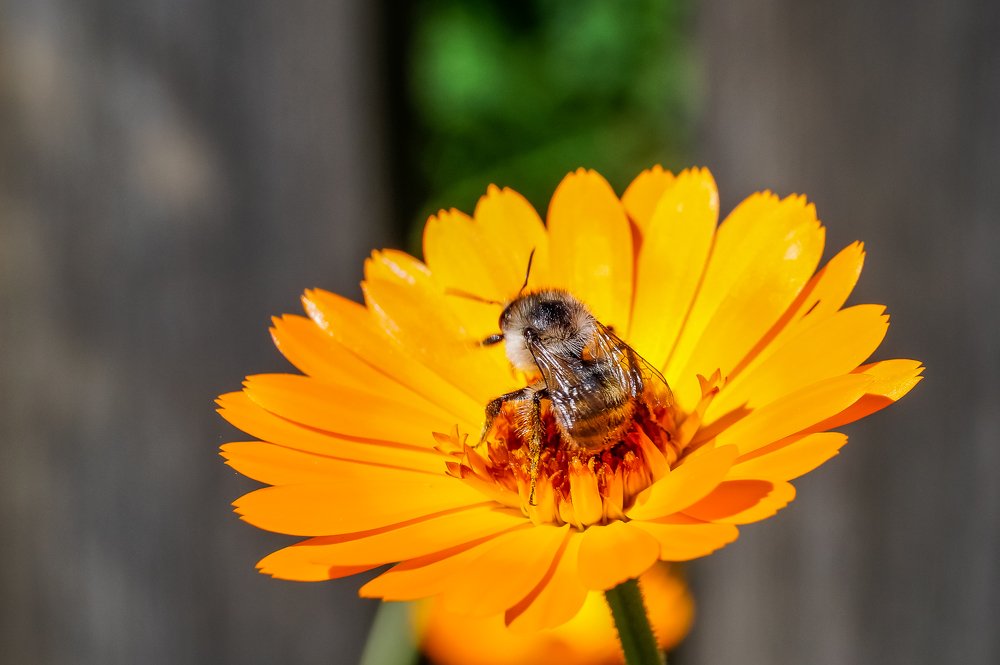 Photograph by Виктор Сёмушкин
