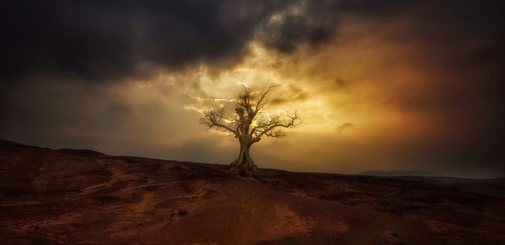 Фотография автора  reyhaneh khavaninzadeh