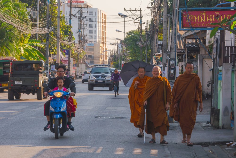 Photograph by Stevie