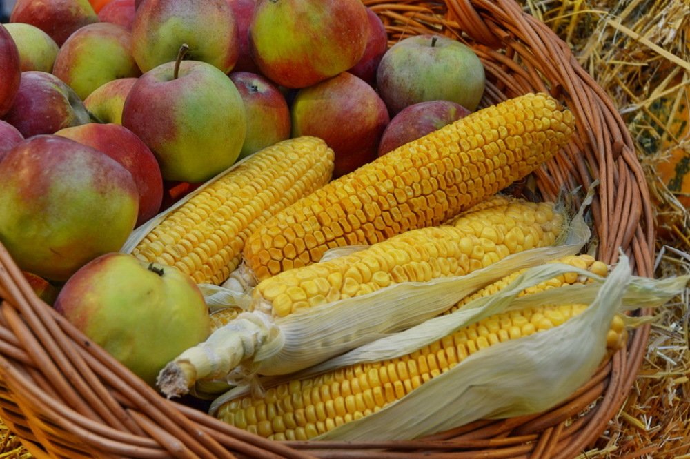 Photograph by Анастасия Смирнова