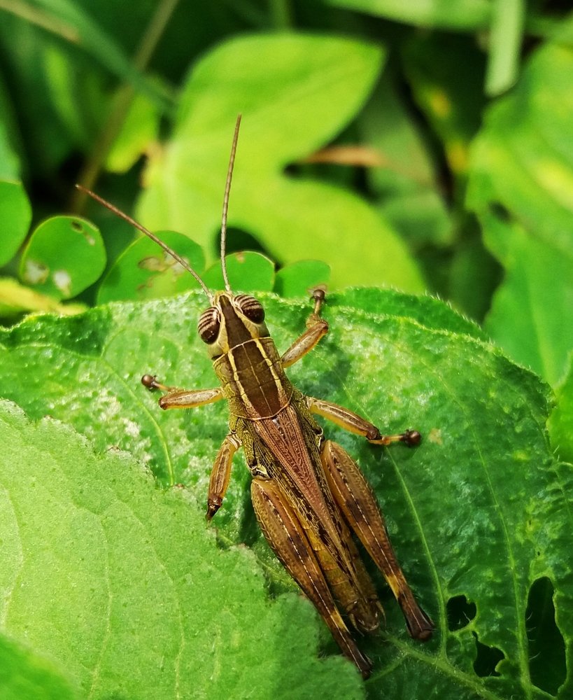 Photograph by Ritu Dinkar