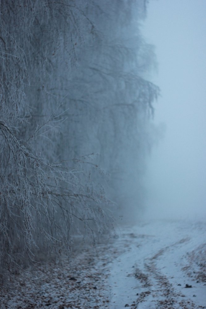 Photograph by Юлия Кривоносова