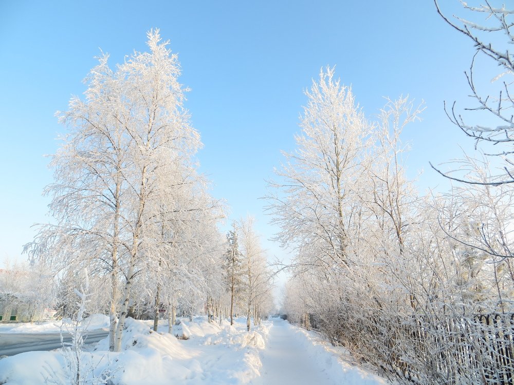 Зимний день