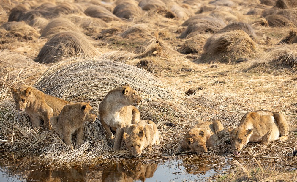 Photograph by Raquel Barao