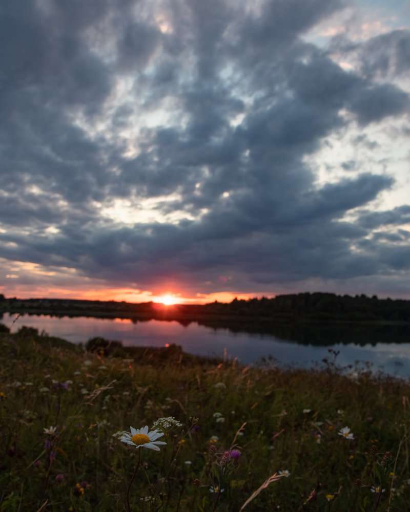 Photograph by Евгений Васильев