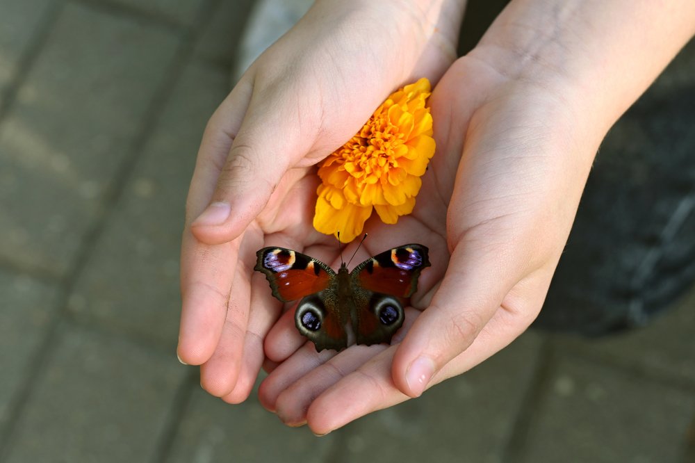 Живое или нет?