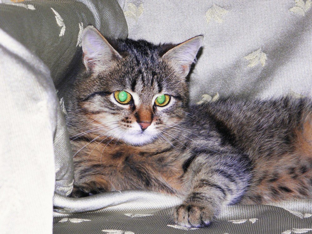 Photo #5378011