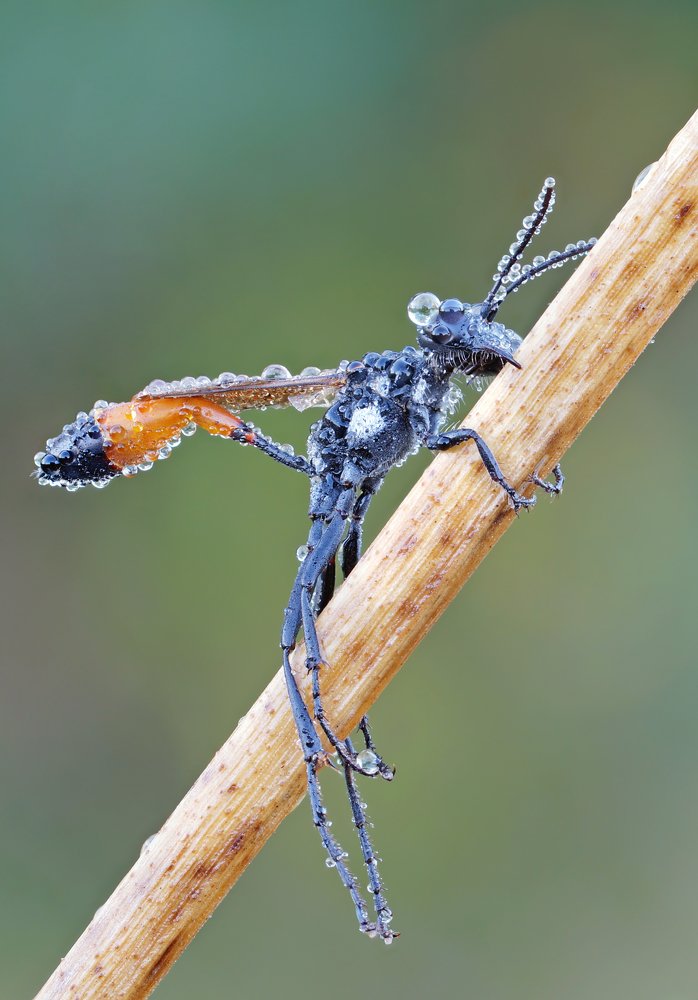 Photograph by Чепленко Алексей