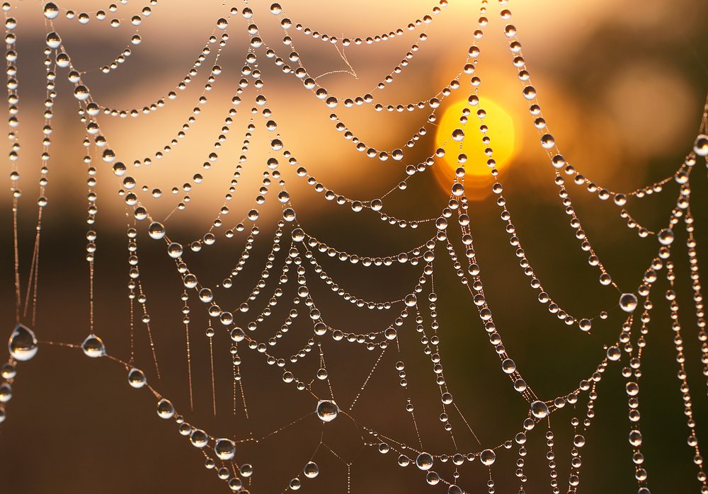 Photograph by Чепленко Алексей