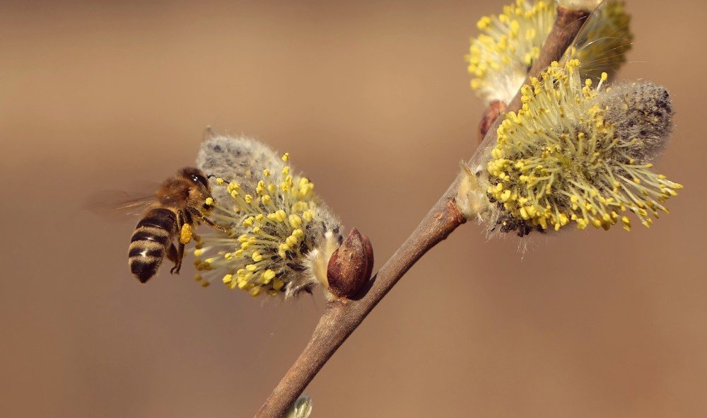 Фотография автора Валентина Гундарева