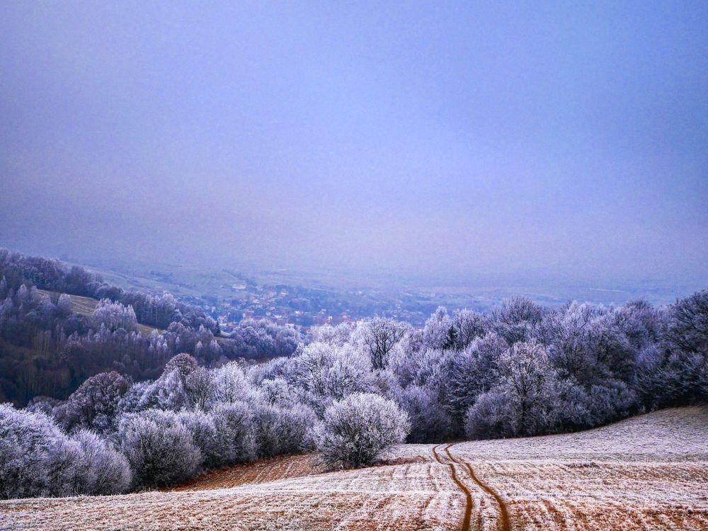 Photograph by Ondrej Pôbiš