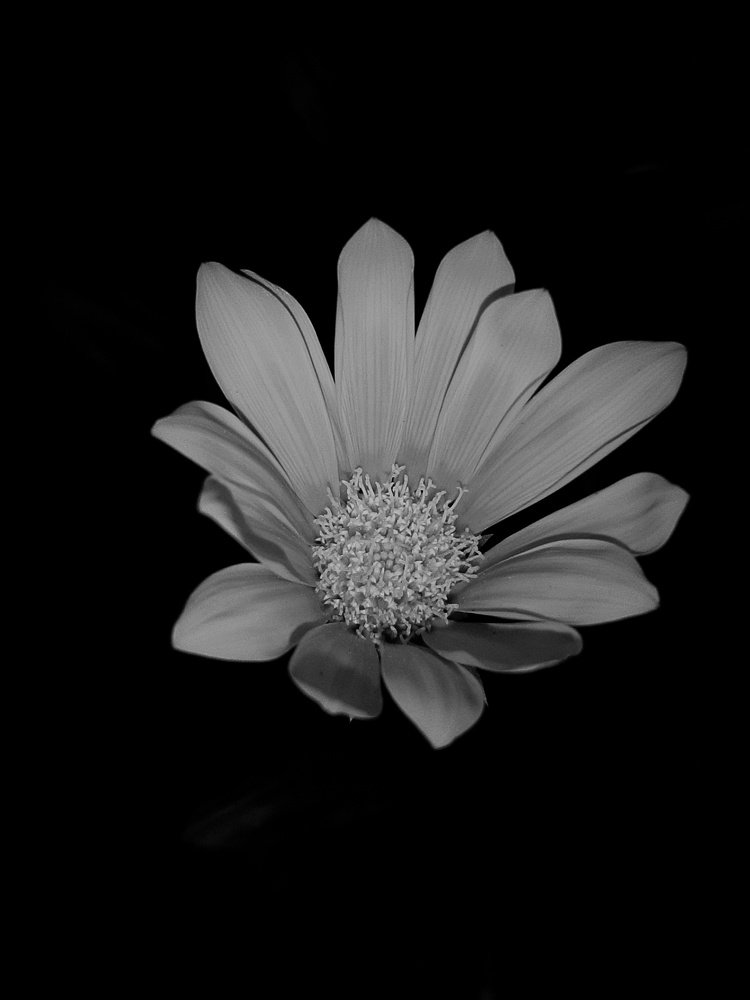 Photograph by Amarjit Mandal