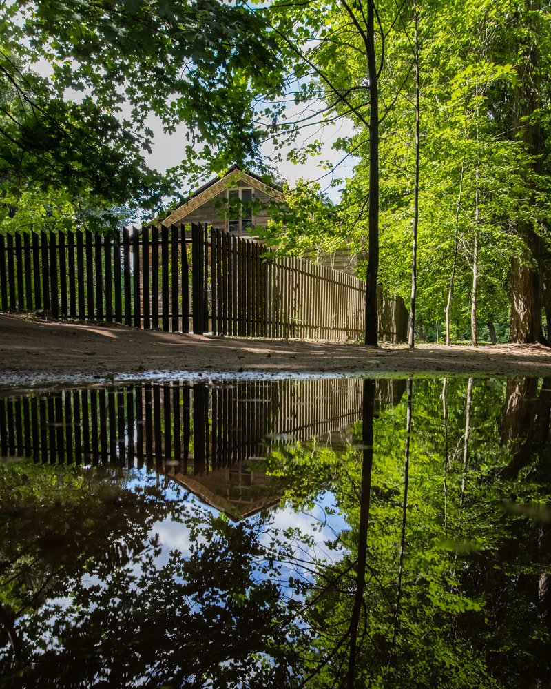 Photograph by Евгений Васильев