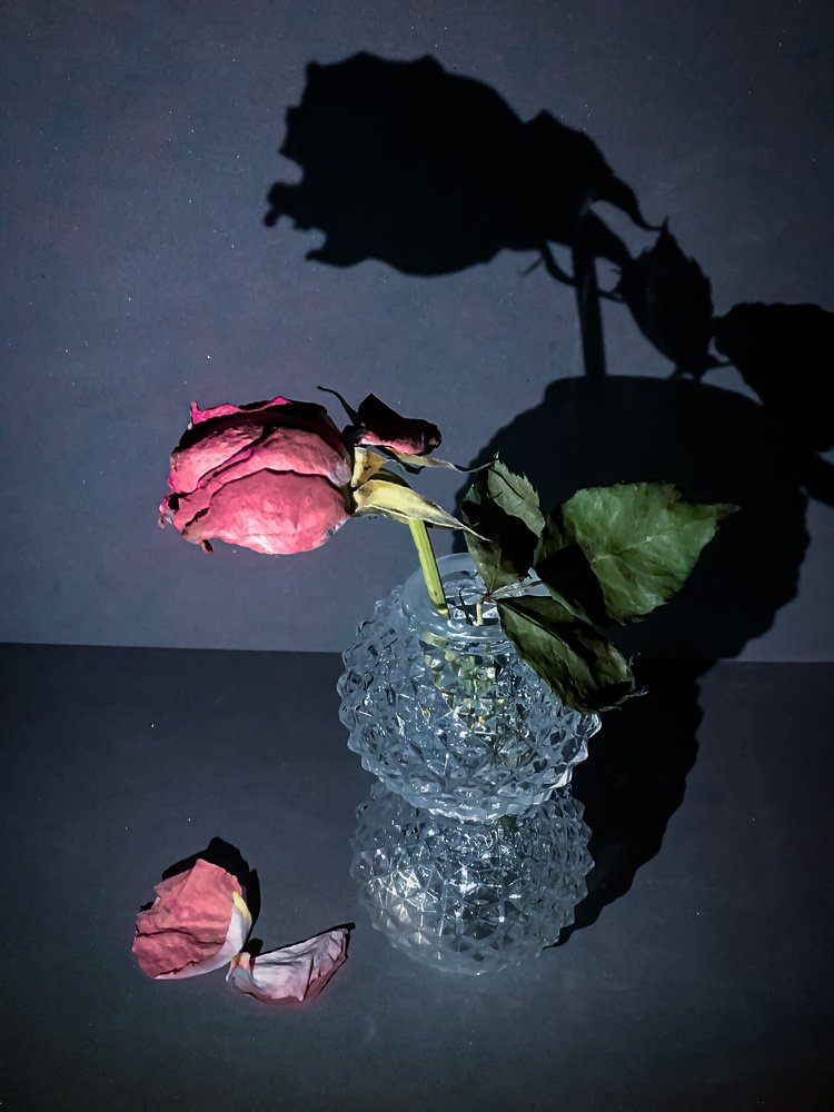 Красавица и чудовище