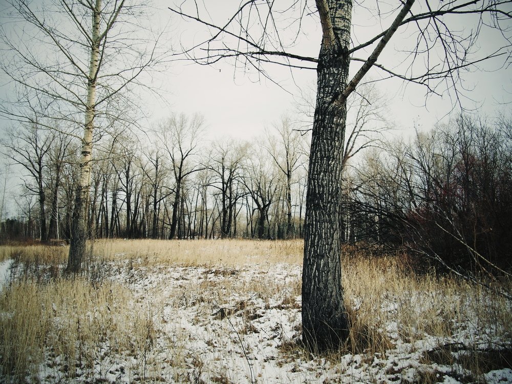 Photograph by Юрий