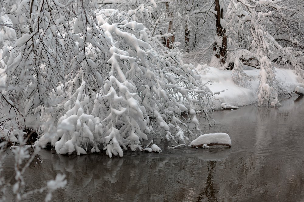 Фотография автора Ирина Болдина