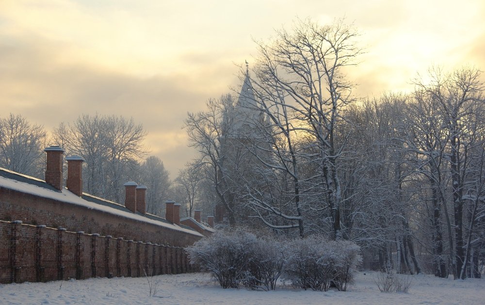 Winter dream of the old park