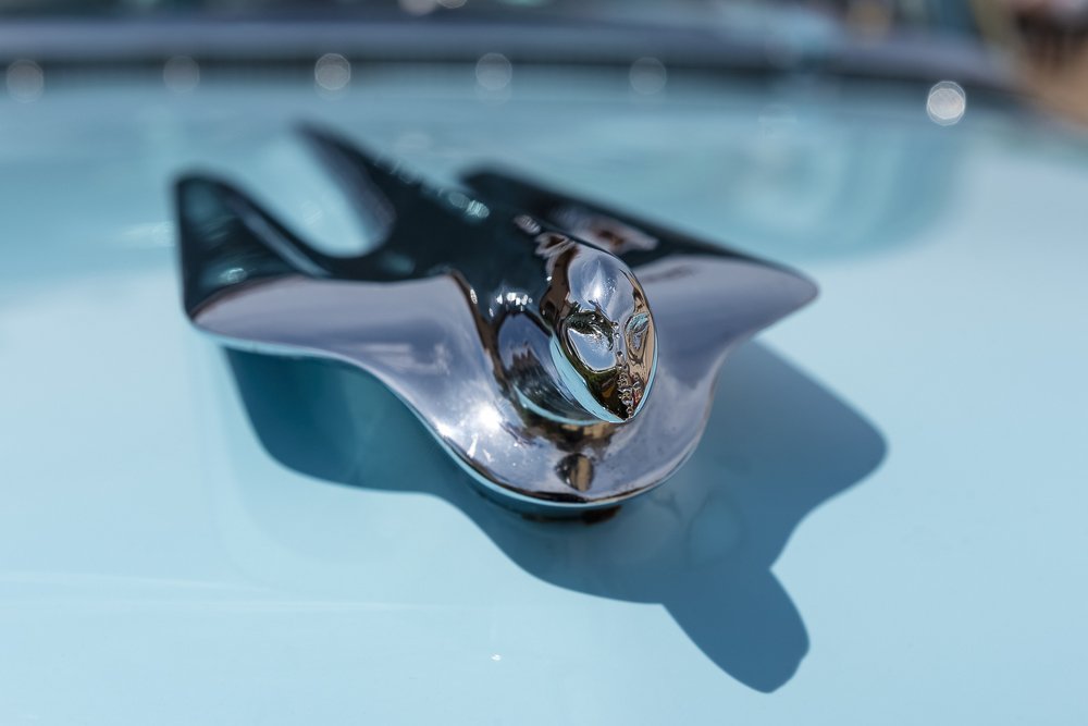 Photograph by FRANCIS MESLET