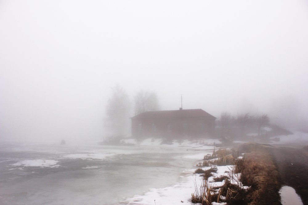 Photograph by Юлия Кривоносова