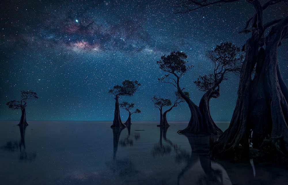 Photograph by suk eun kim