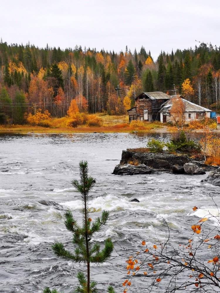 Photograph by Елена Артёменко