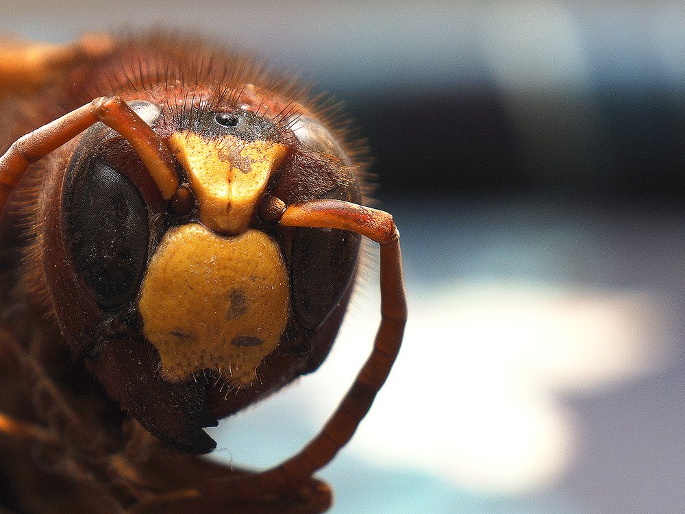 Photograph by Georgios Pallas