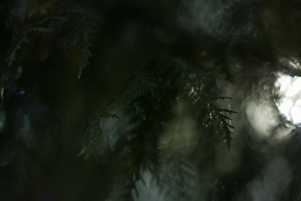 Фотография автора Денис Беляев