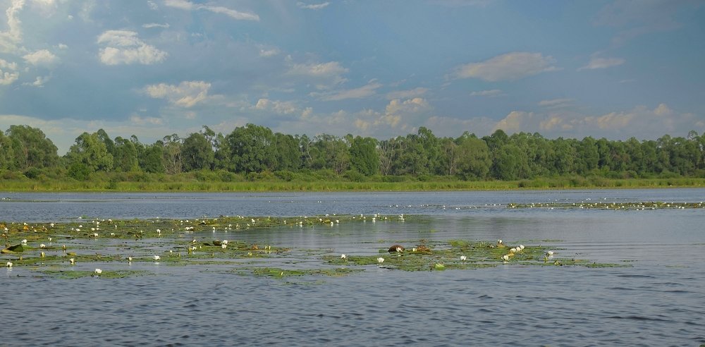 Photograph by Василий Быстрицкий