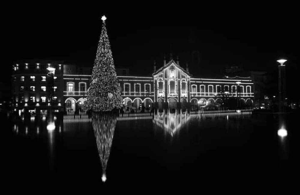 Photograph by carlos teixeira