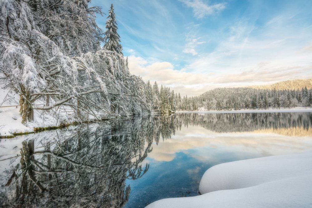 Photograph by Sara Jazbar