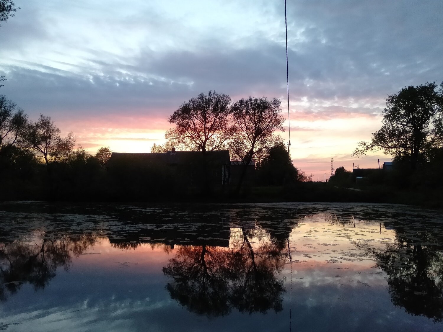 Photo #5378395
