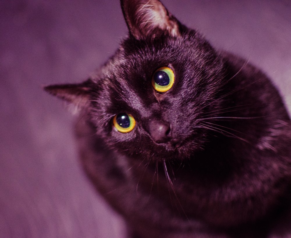 Photograph by Екатерина Николаева