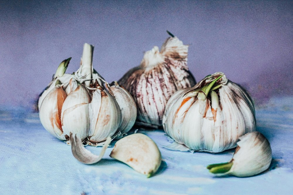 Photograph by Алиса Грюнвальд