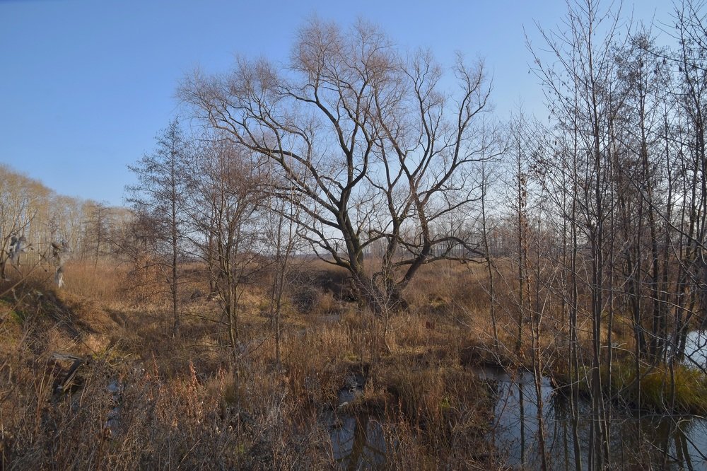 Photograph by Василий Быстрицкий