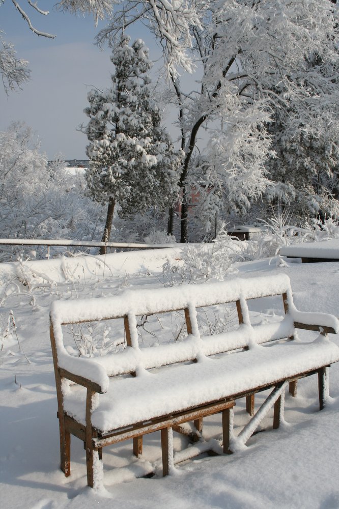 Photograph by Игорь Шашко