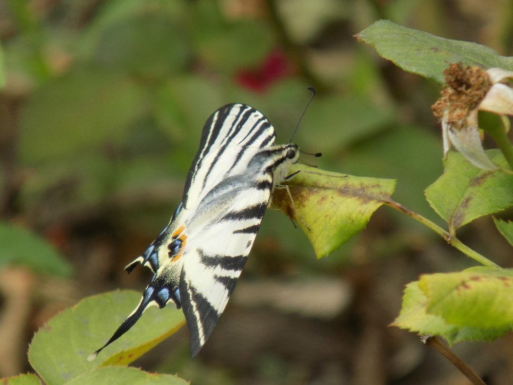 Фотография автора Станислав Рушкис