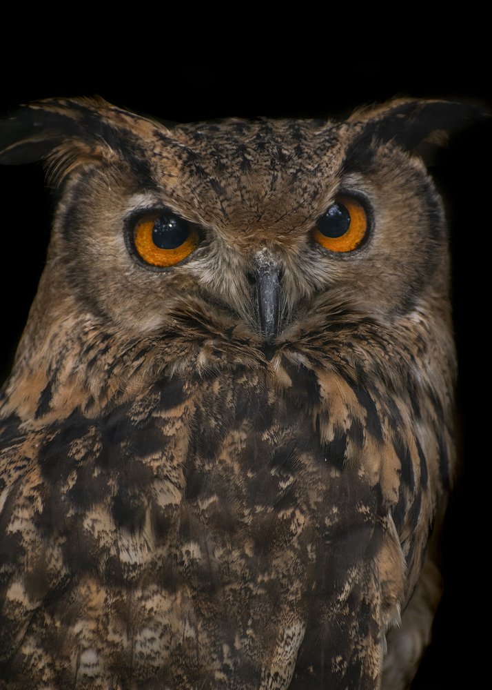 Фотография автора TahirSultan