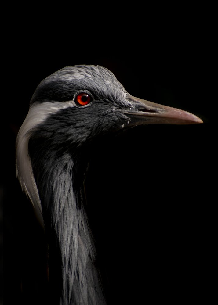 Фотография автора TahirSultan