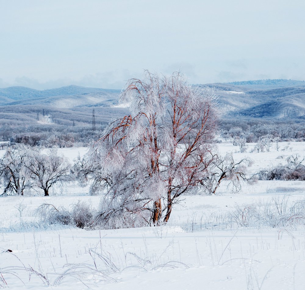 Photograph by Сигида Дмитрий