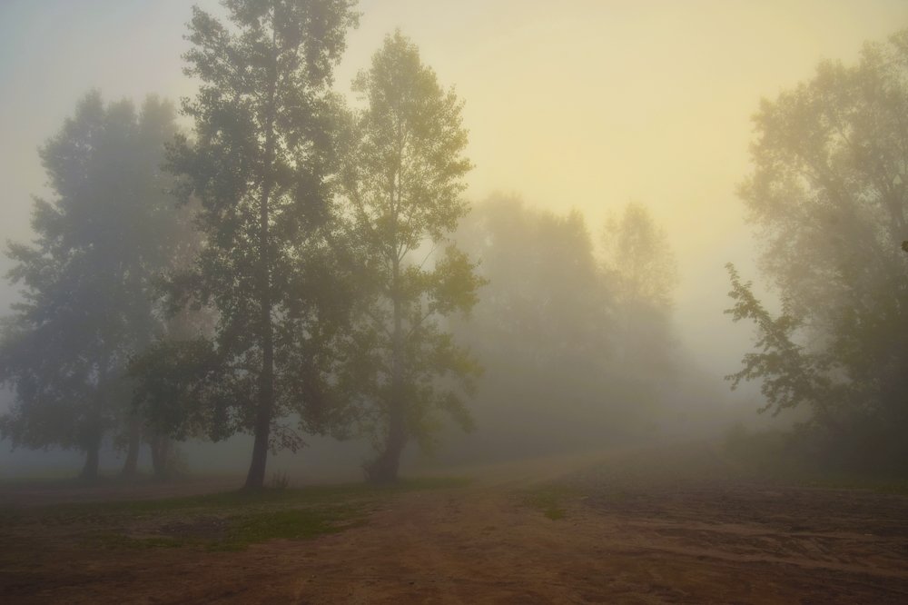 Утро туманное, утро седое