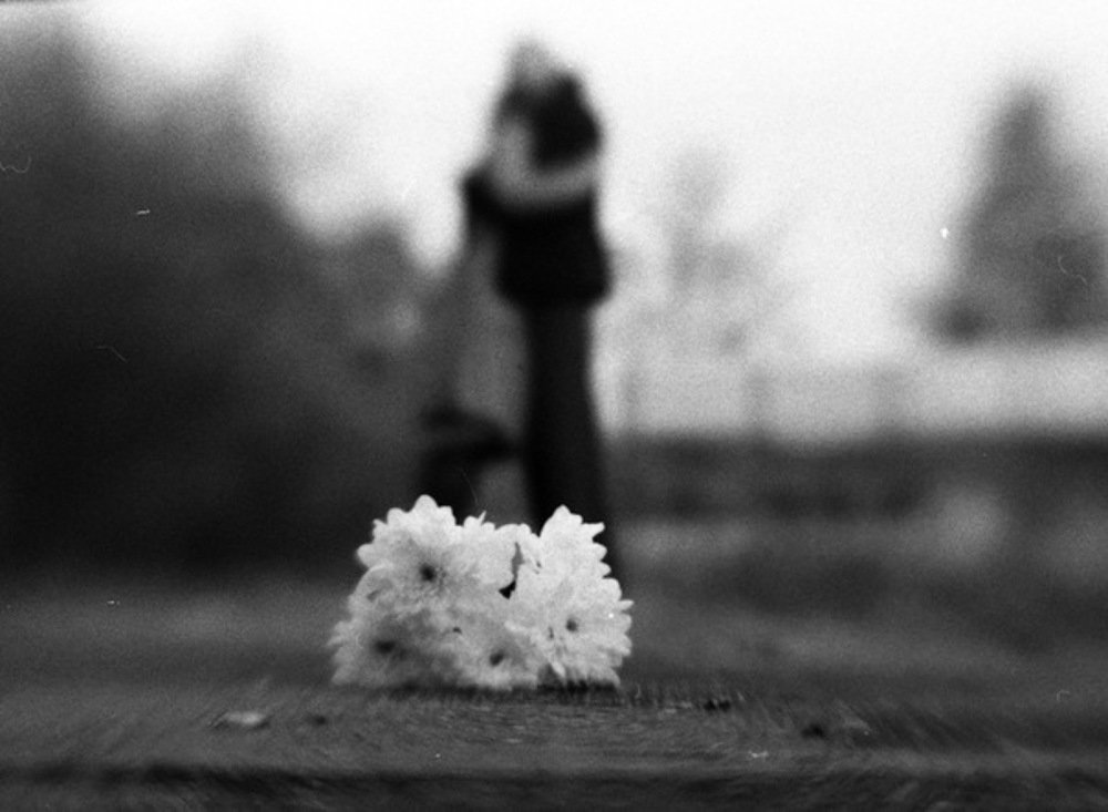 Photograph by Дмитрий Горошко