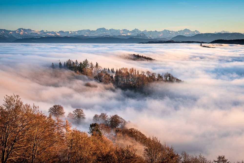 Photograph by Anna Bera