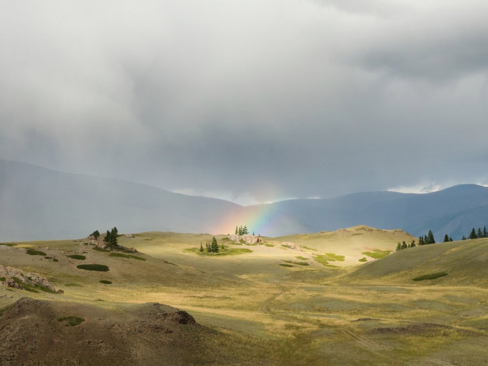 Photograph by Ольга Беккер