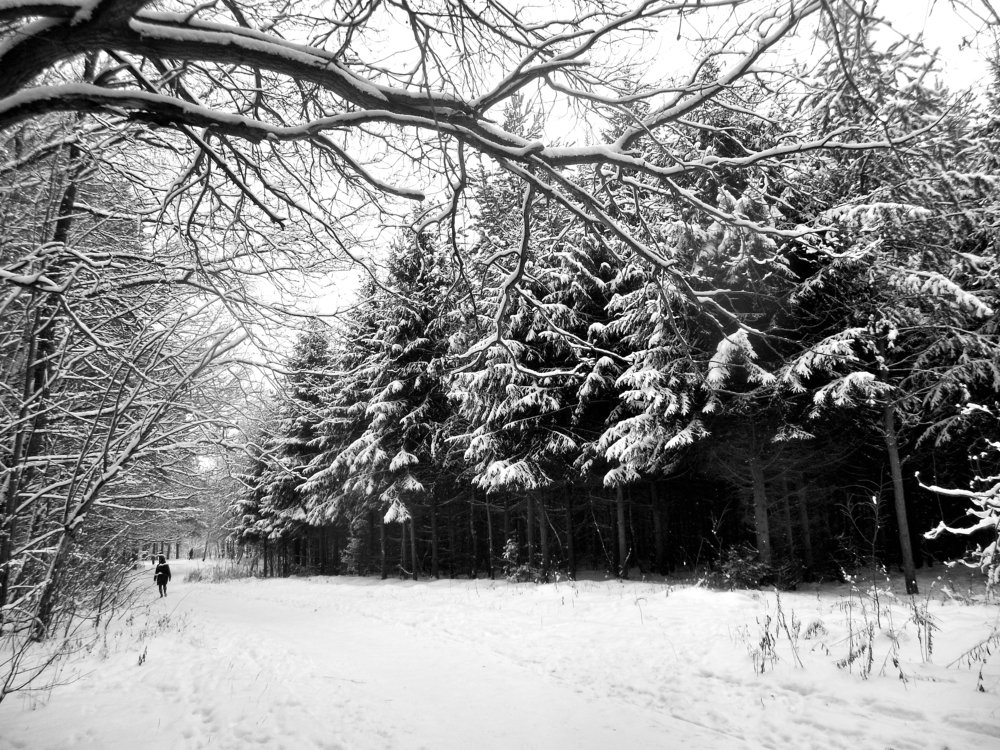 Фотография автора Клавдия Васильева