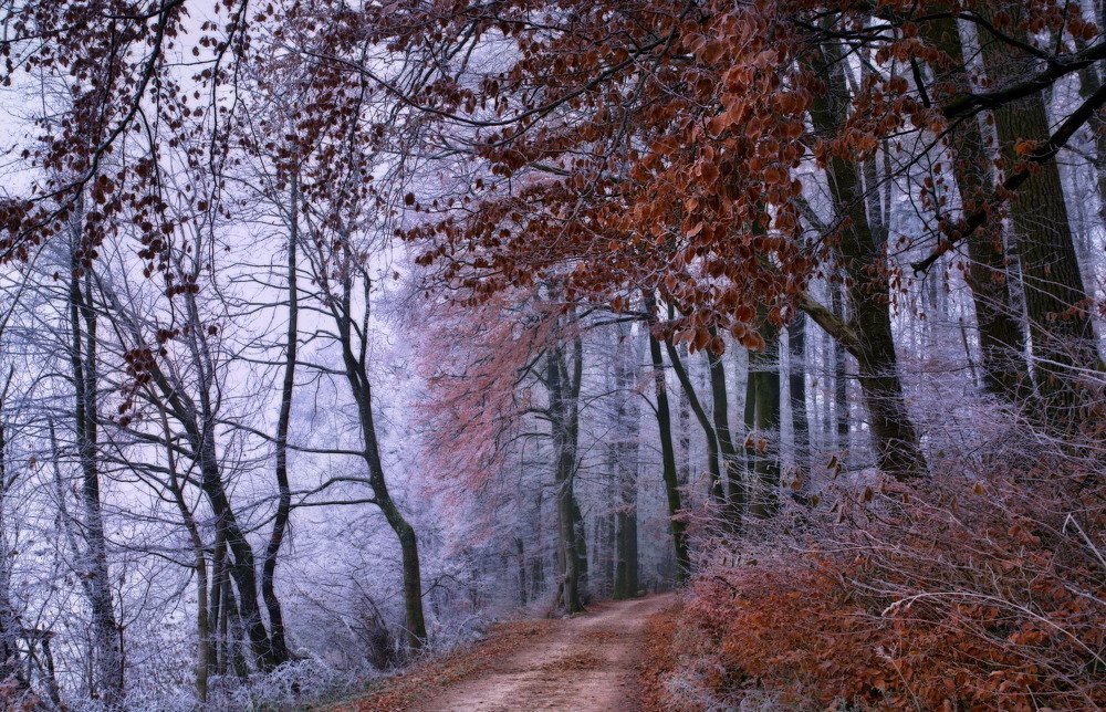 Photograph by Elena Wymann