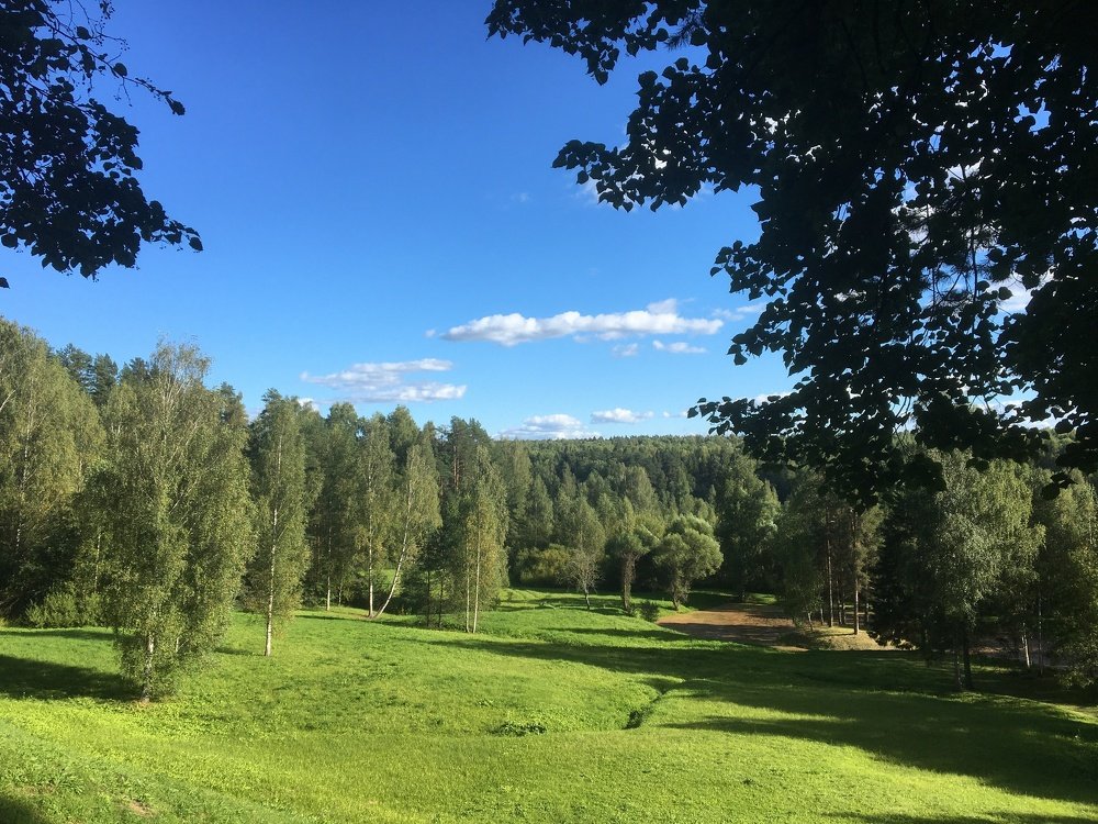 Русский лес